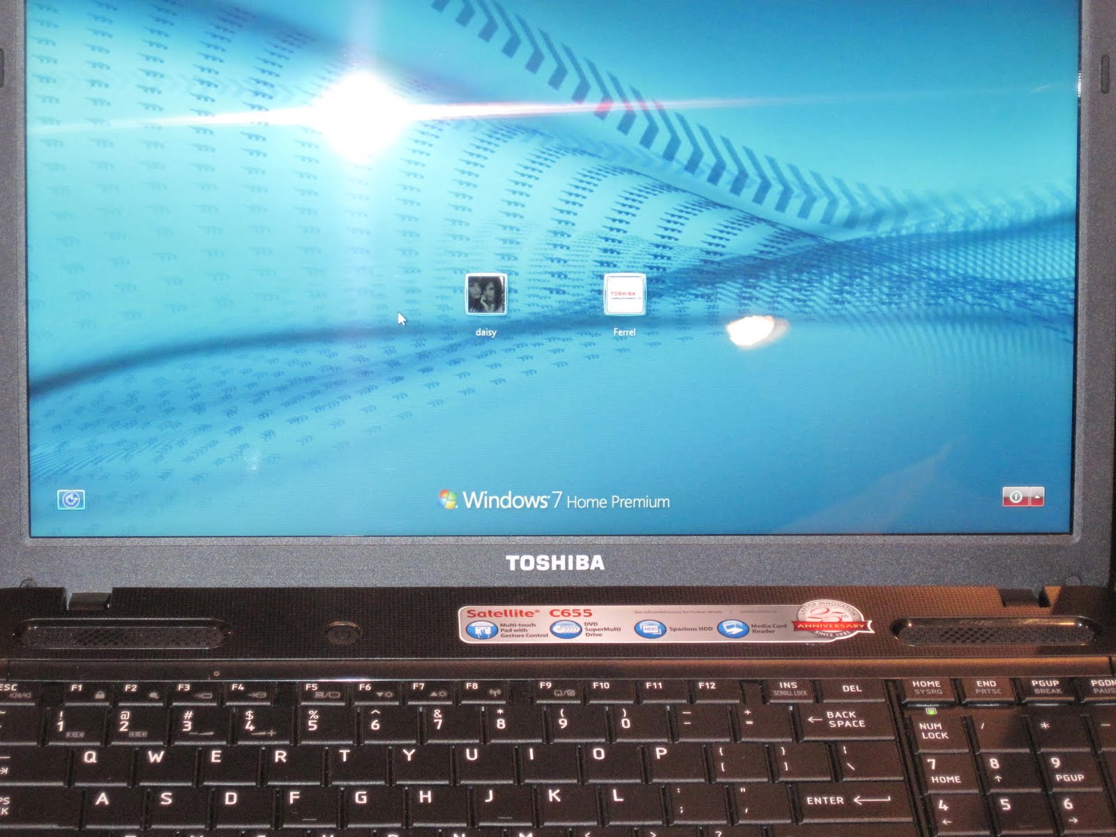 LCD Screen Problem on Dell Inspiron Laptop