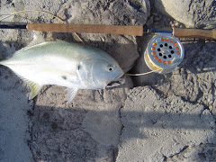 Jack Crevalle on the swing.