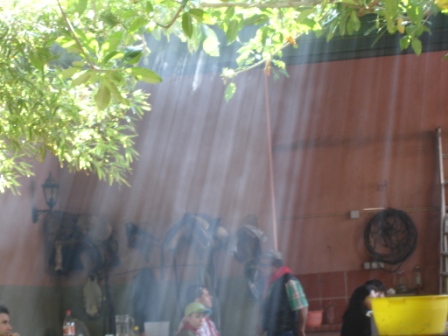 [DSC02781.JPG]