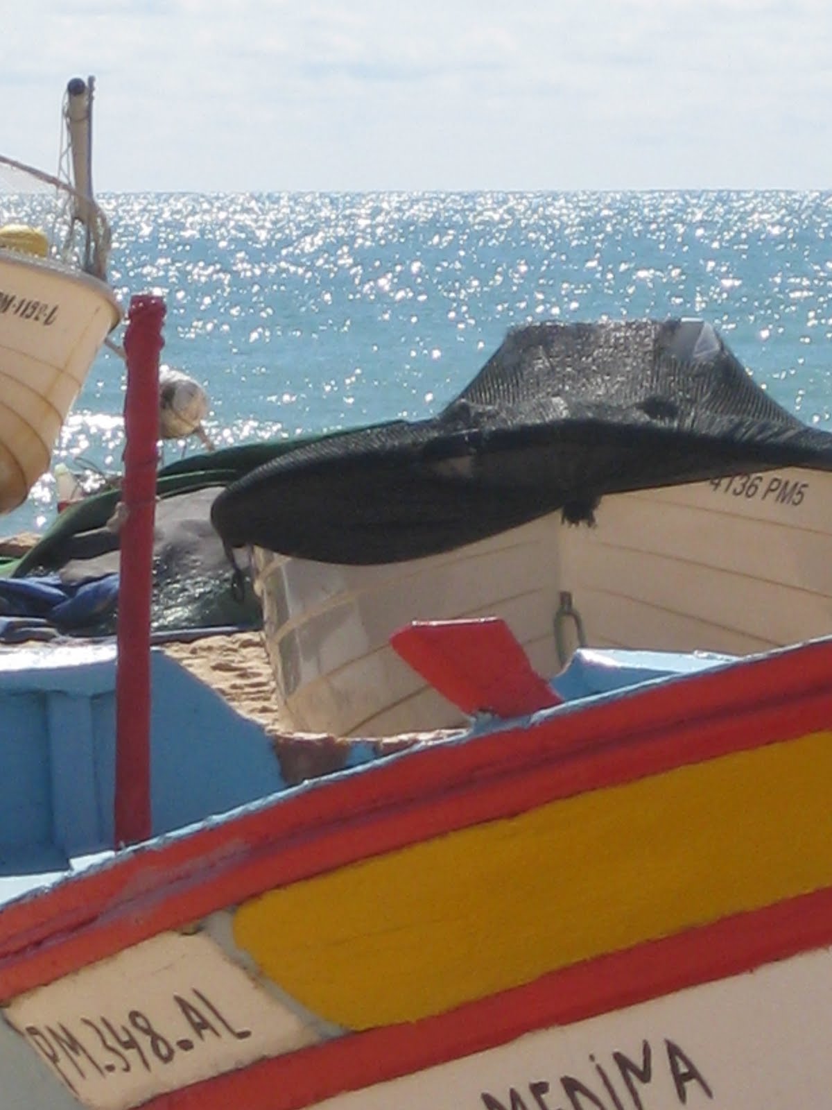 [IMG_1451.JPG]