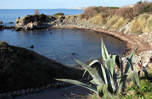 Rocky beach, Antignano, Livorno