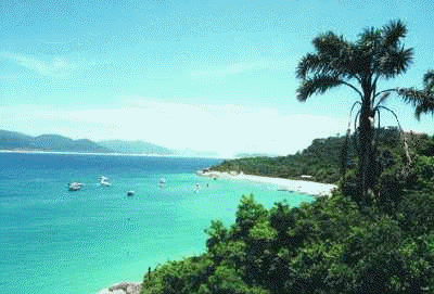 Ilha Da Magia