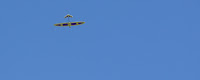 Tito hovering inverted over the slope