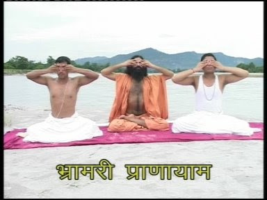 To overcome Playfulness of Mind , Bhramari Pranayama To overcome Playfulness of Mind , Bhramari Pranayama
