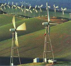 [Windfarm.jpg]