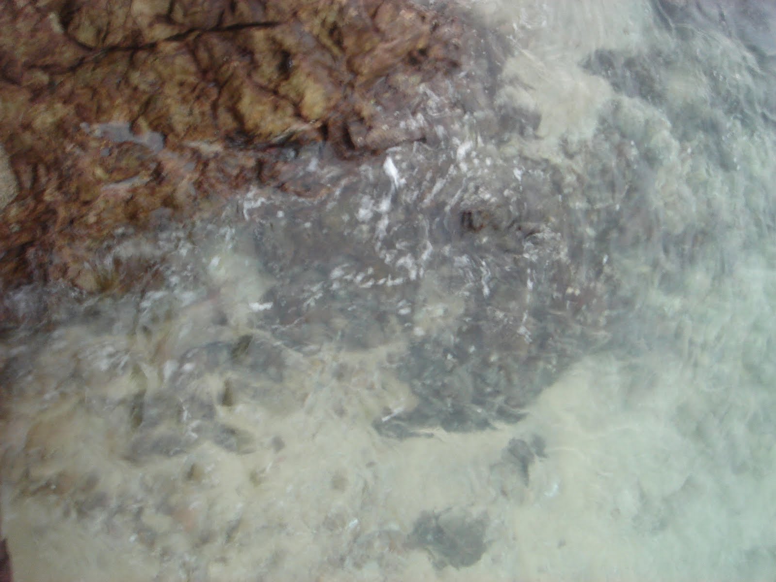 [DSC02625.JPG]