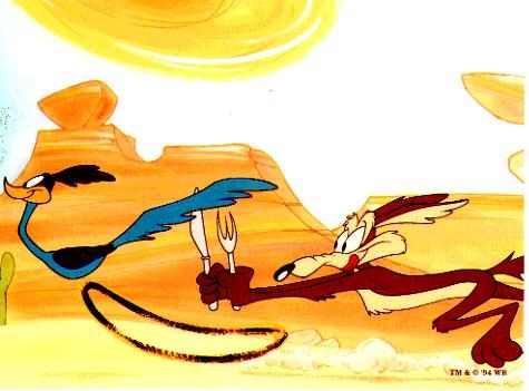 wile e coyote and roadrunner wile e coyote and roadrunner