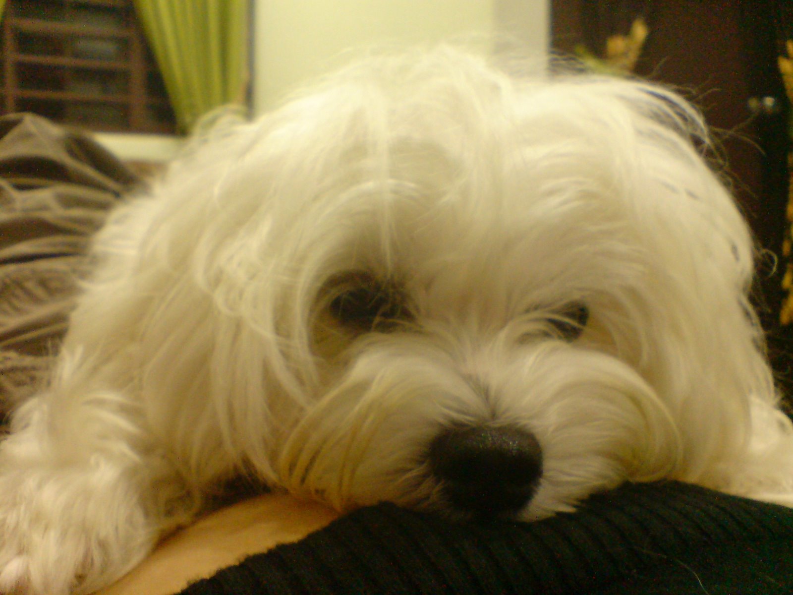 [DSC00178.JPG]