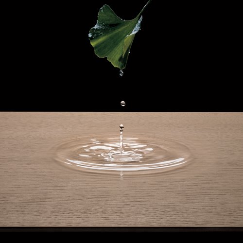 [plus-legno-0012.jpg]