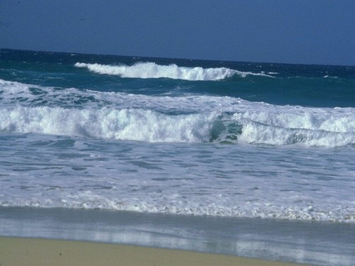 [seashore-waves.jpg]