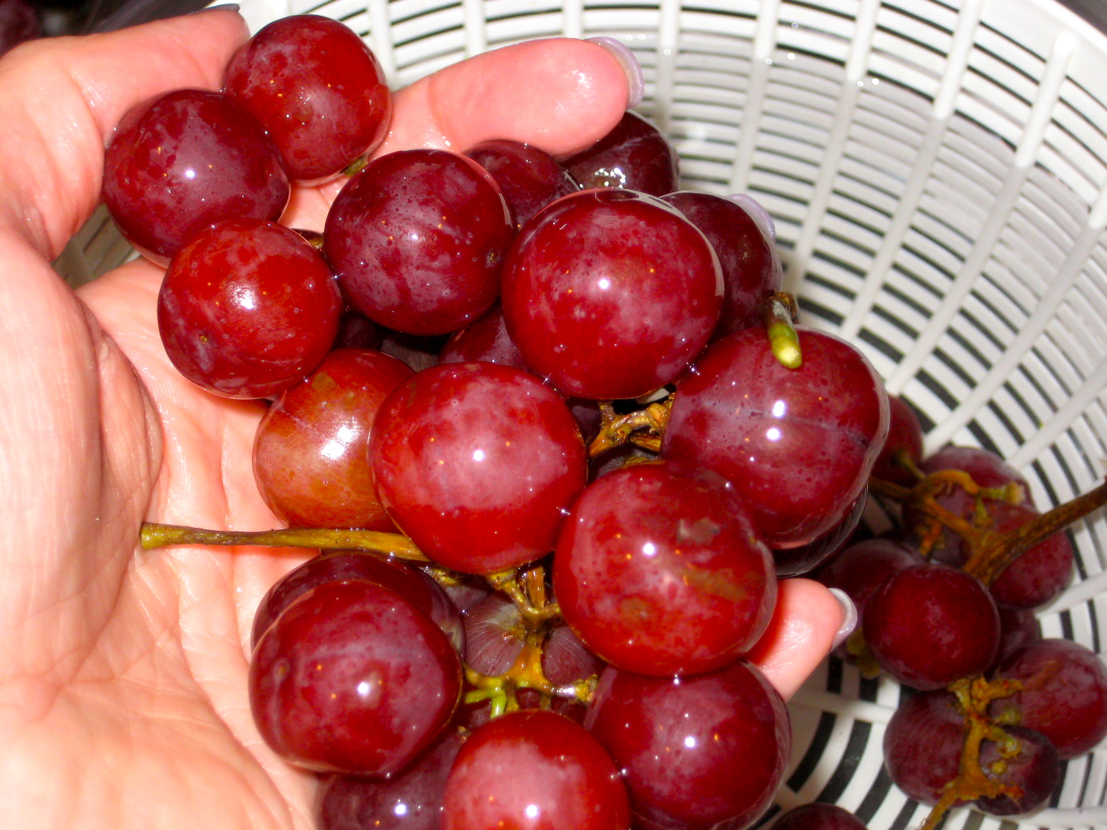 Karen B's Cooking Made Easy! Tip Of The Day How To Freshen Up Old Grapes
