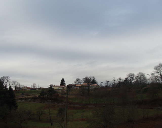 [DSC05315.jpg]