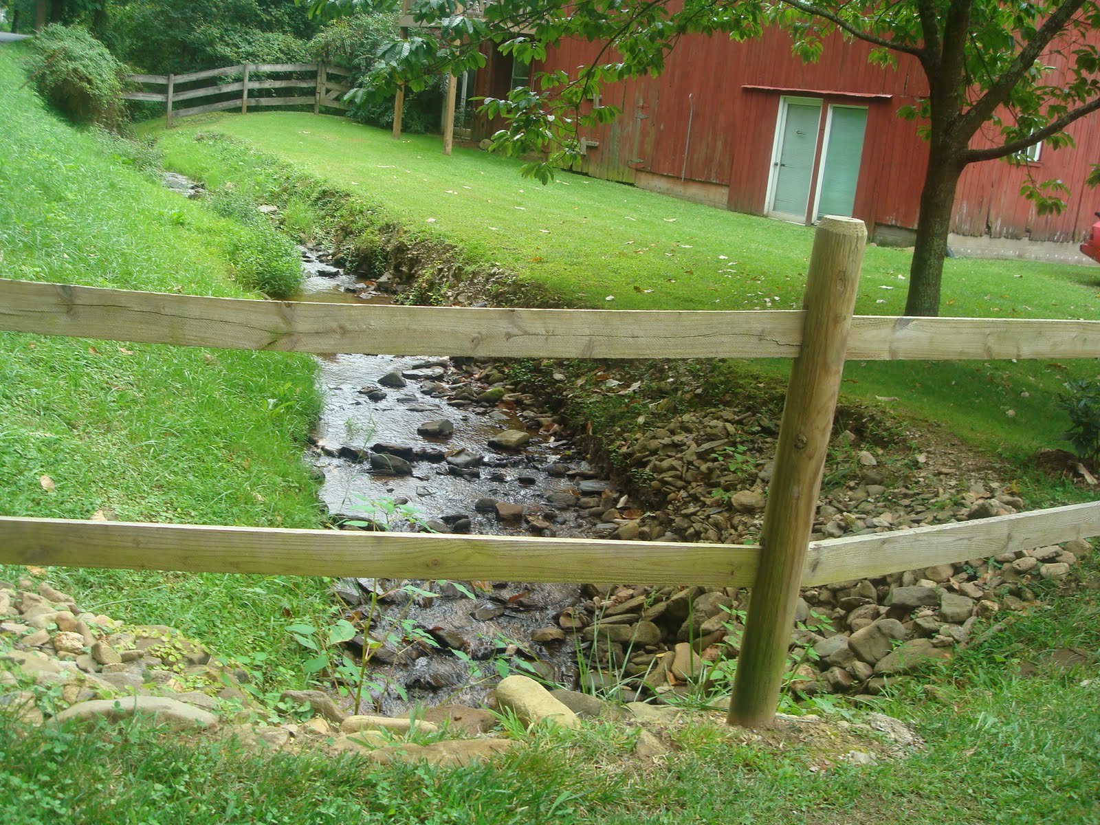 [DSC06351.JPG]