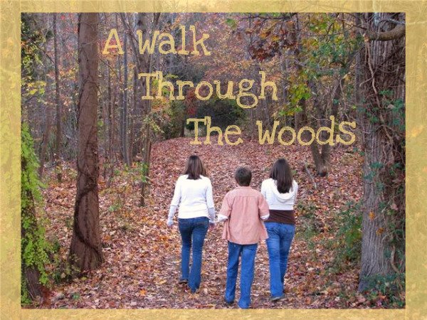 A Walk Through The Woods