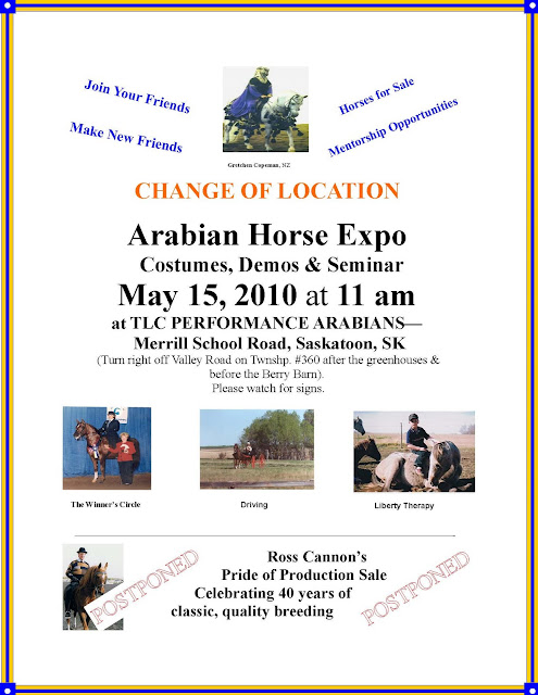 arabian horse expo