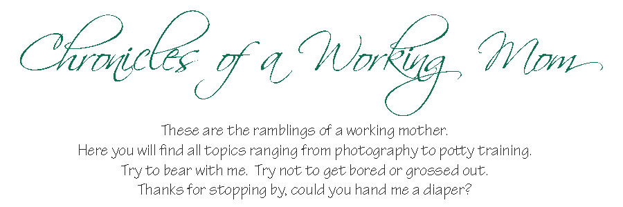 Chronicles of a Working Mom