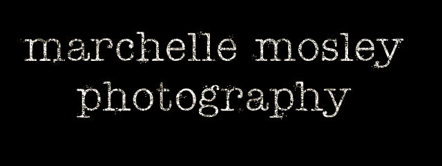{marchelle mosley photography - the blog}