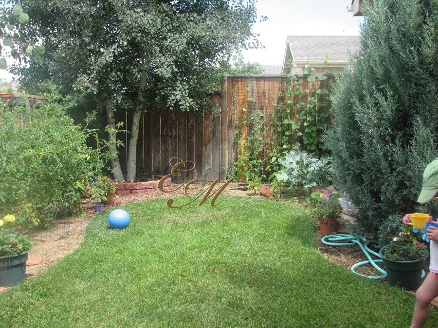 [backyard+7.jpg]