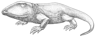 Ophiacodon.gif
