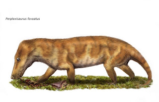 perplexisaurus_fin-full.jpg