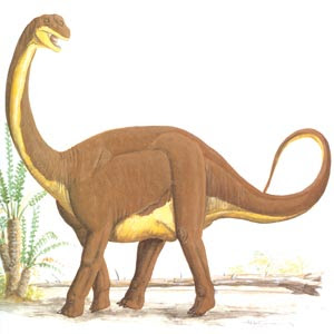 dinosaur-images-062-resize.jpg