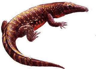 proterosuchia.gif