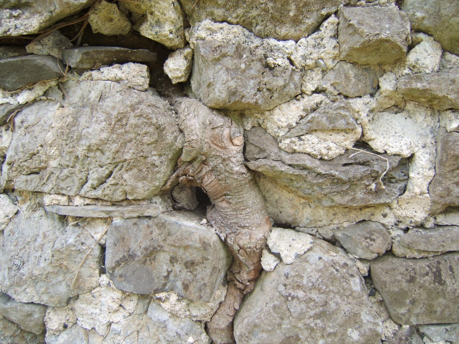 [cartonjun06+004.jpg]