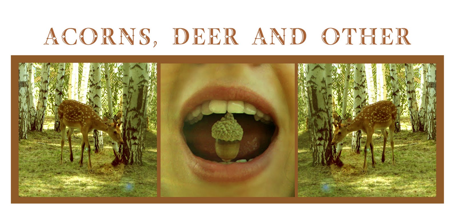 Acorns, deer and other