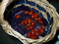 grape tomatoes from our garden in the bottom of a basket