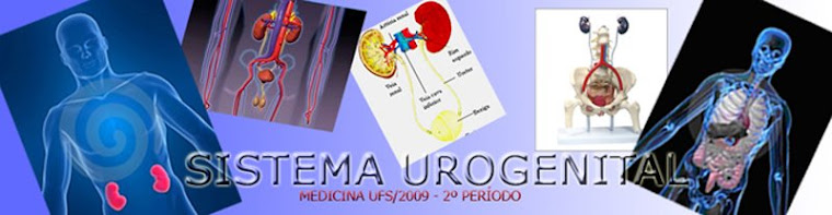 Sistema Urogenital - Origem Embrionária