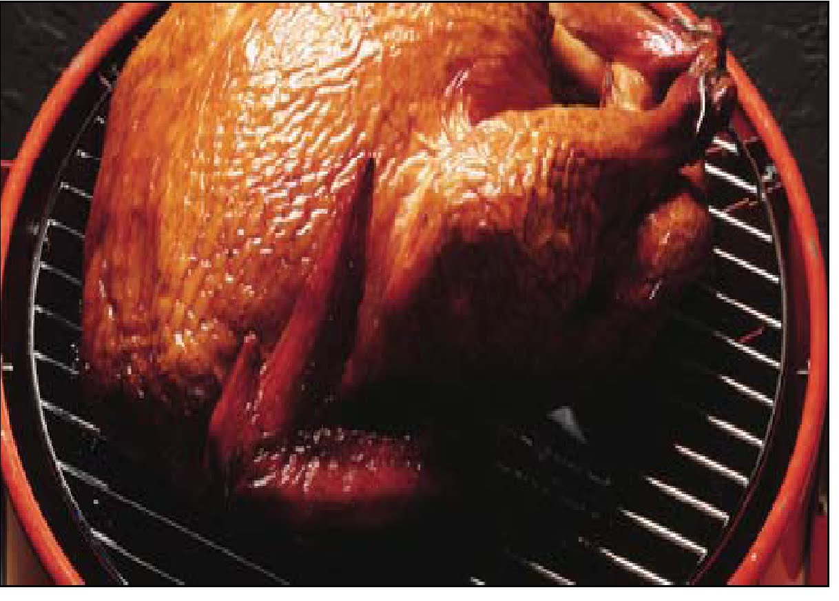 ahumado de alimentos aprendiendo sobre la carne ahumado de carnes y aves ahumado de alimentos aprendiendo sobre la carne ahumado de carnes y aves