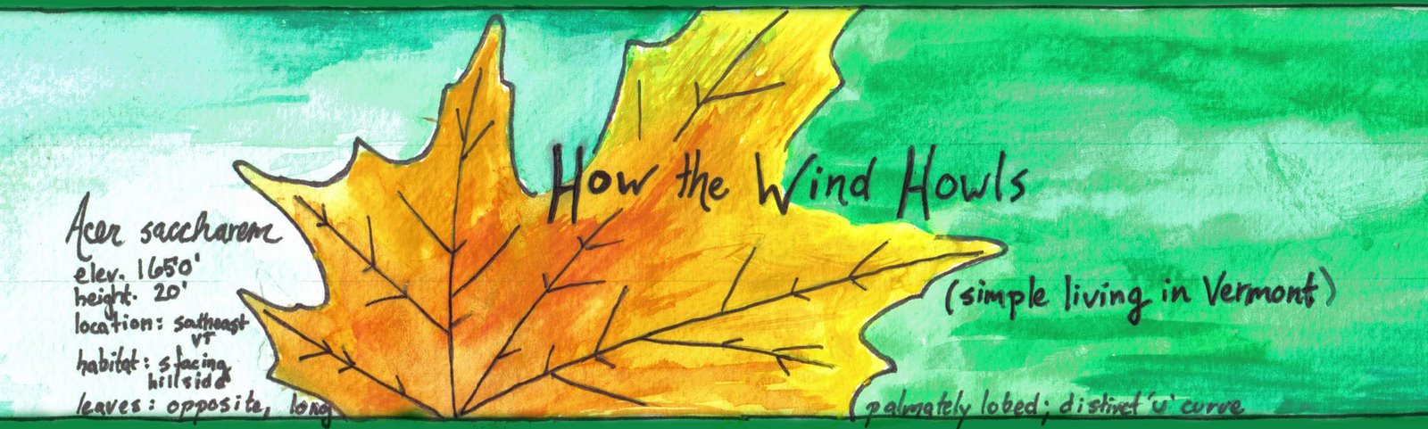 How the Wind Howls -- Simple Living in Vermont