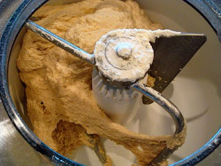 dough kneading in a Bosch bowl