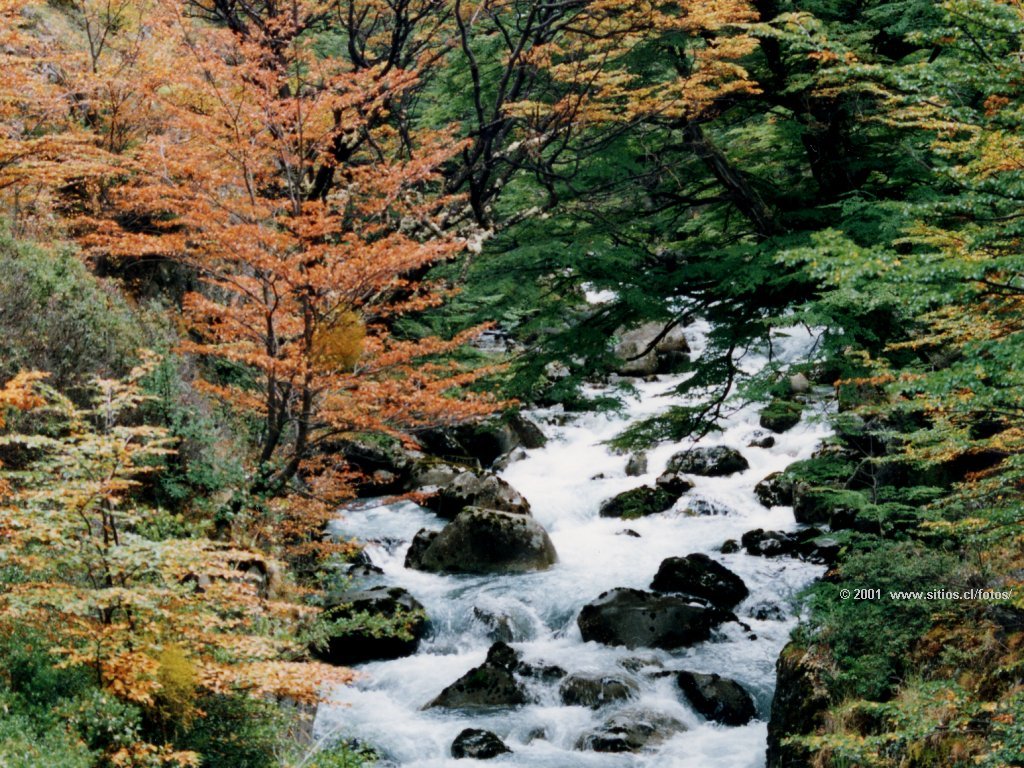 [sitios-cl-torresdelpaine-rio-2.jpg]