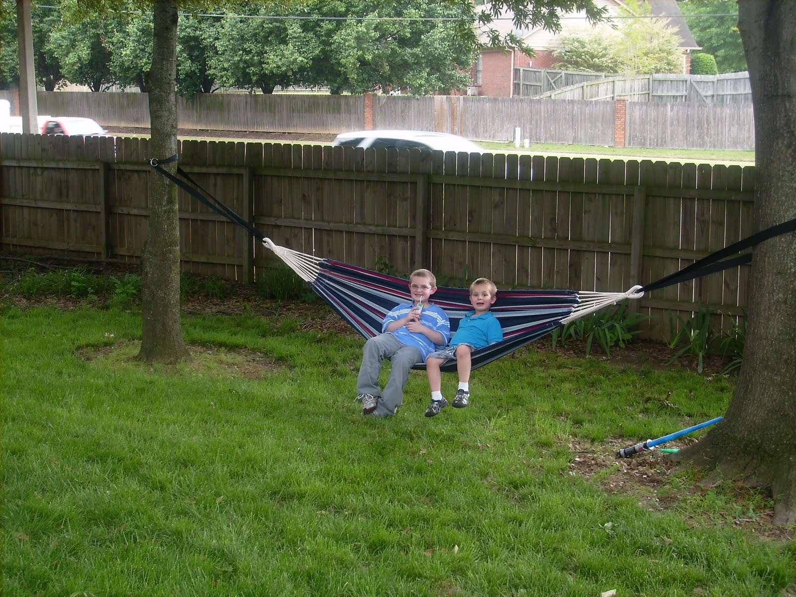 Hammock Grass