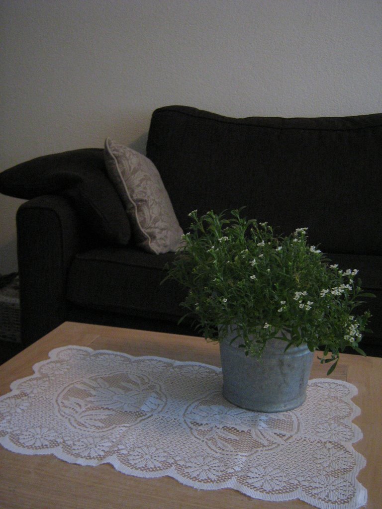 [IMG_2569.JPG]