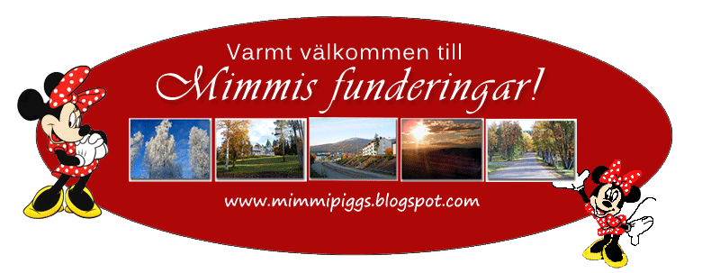 Mimmis funderingar!