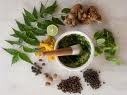 NATURE N BEAUTY :::: BEAUTY N HERBS