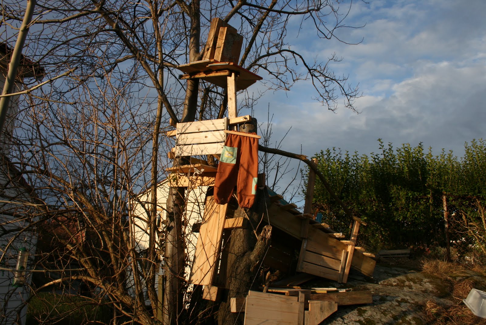 [IMG_6767.JPG]
