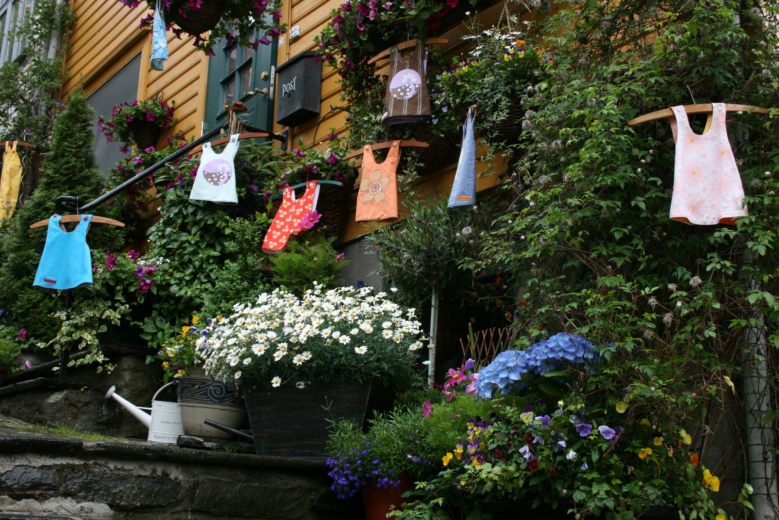 [IMG_4331.JPG]