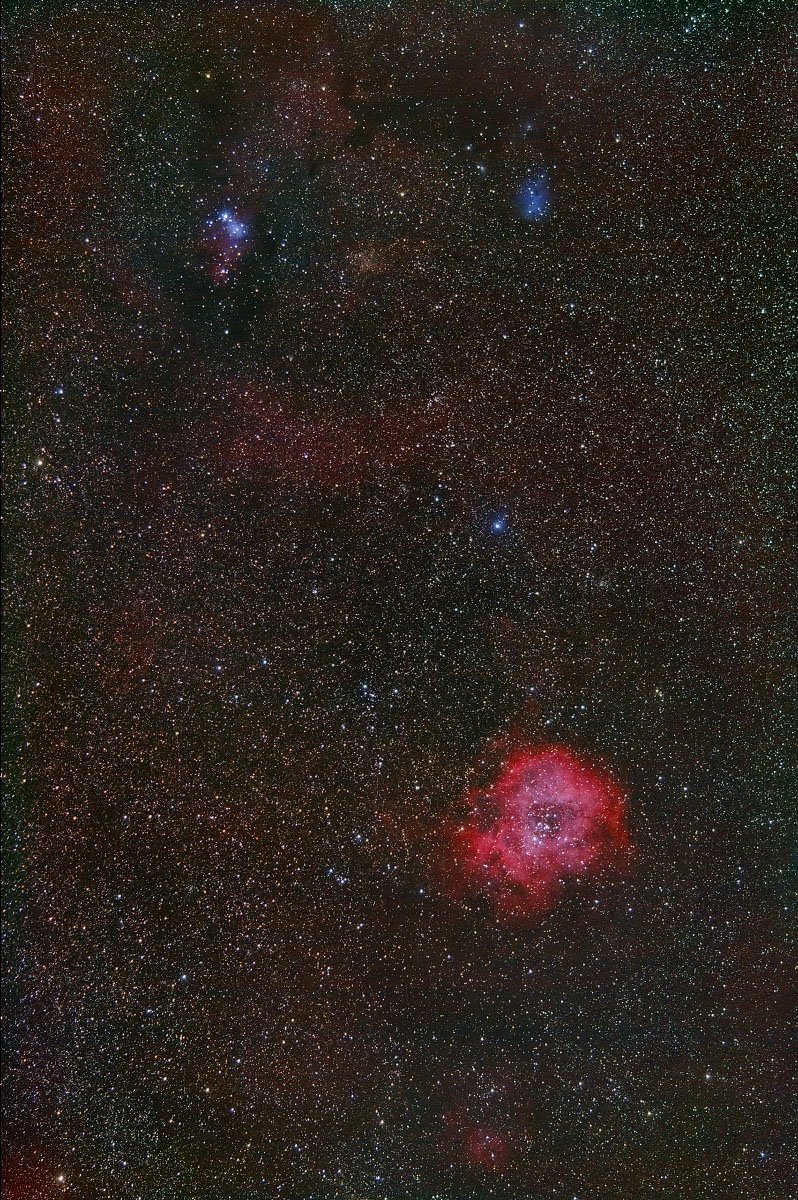 [rosette+processed02_web.jpg]