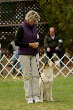 Lake Co. Kennel Club Obedience Trial
