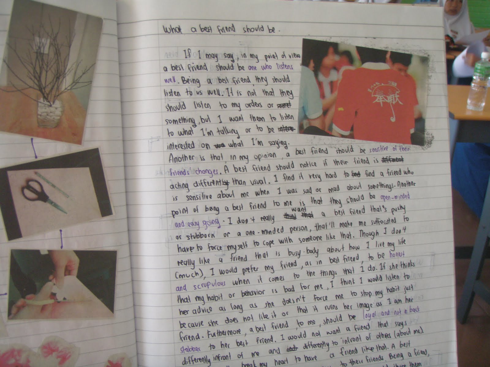 Journal essay spm picture