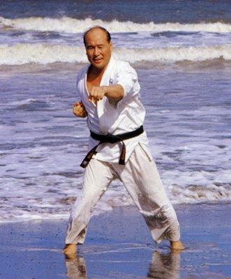 [mas-oyama-in-water.jpg]
