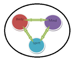 Interconnection Mind, Body & Spirit