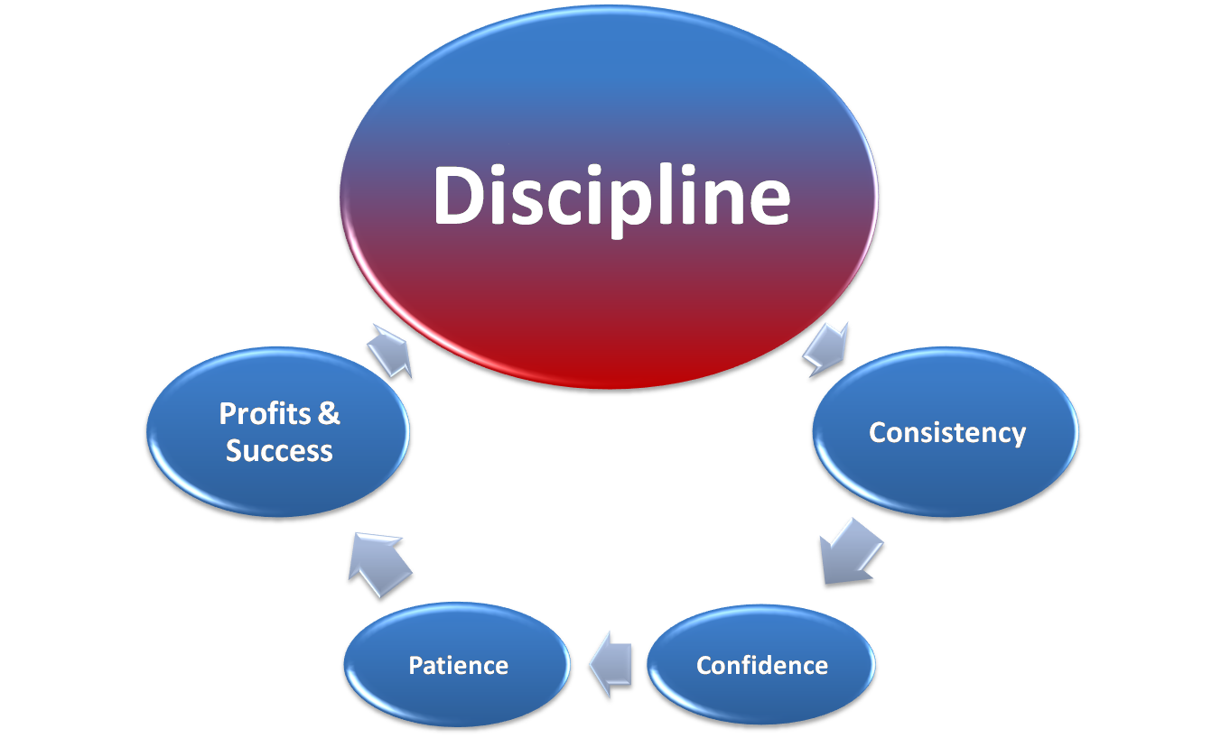 [DisciplineCycle_6.png]