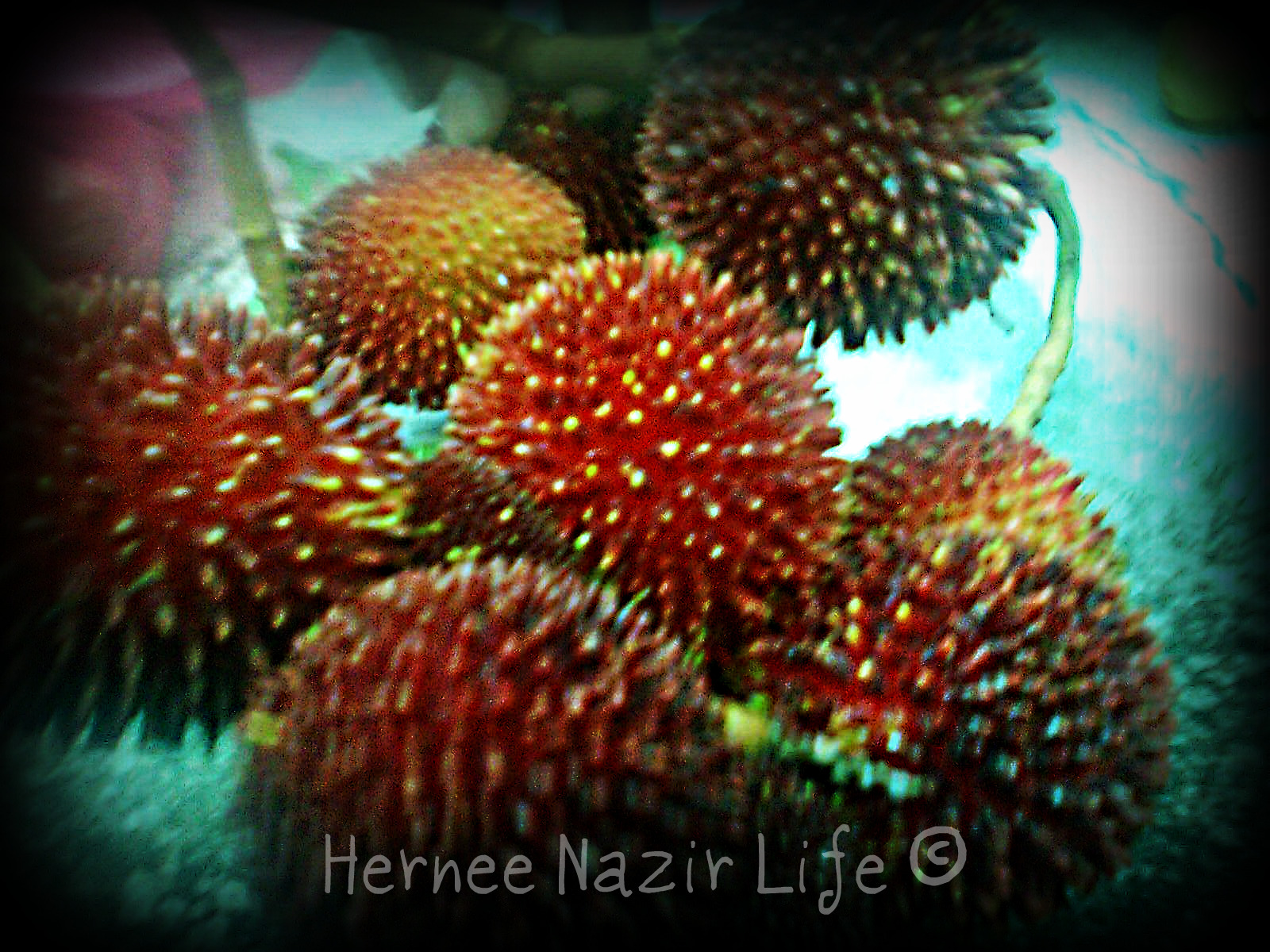 [Say+cheese!041.jpg]