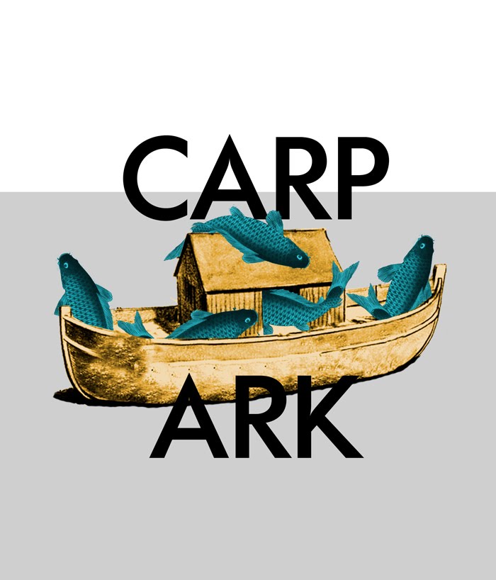 carp+ark.jpg