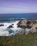 Bodega Head