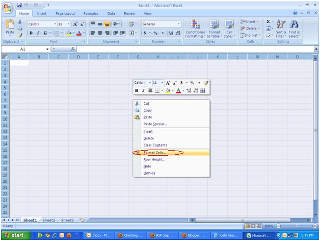 Hot To Protect Cells In Excel 2010